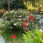 Garden Of Eden - Panorama C-1-15 Reymar 公寓