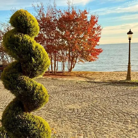 Garden Of Eden - Panorama C15 Rey&mar Apartment *