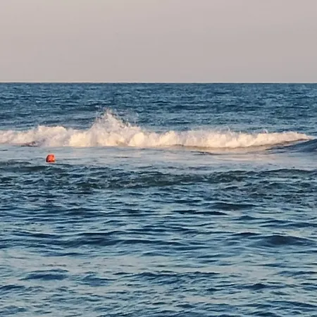 Garden Of Eden - Panorama C15 Rey&mar