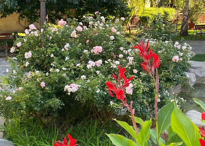 Garden Of Eden - Panorama C15 Rey&mar Apartman